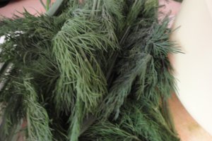 Placinta taraneasca cu cas de oaie,marar si ceapa verde