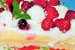 Tort Pavlova cu crema de vanilie  si fructe de padure-2