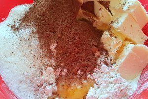 Desert prajitura cu branza si blat de cacao razuit (Rudy)