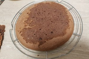 Desert tort cu crema de mascarpone si ciocolata