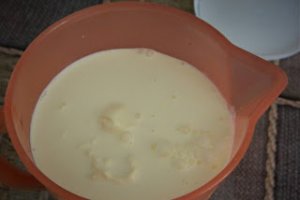 Desert turnulete cu inghetata de iaurt si biscuiti cu jeleu de portocale