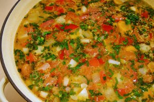 Ciorbita de vara