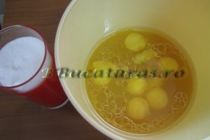 Tort cu mousse de piersici si ciocolata
