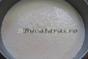 Tort cu mousse de piersici si ciocolata