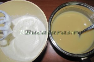 Tort cu mousse de piersici si ciocolata