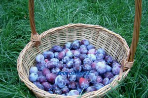 Dulceata de prune