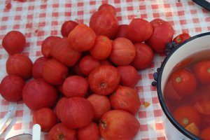 Tocana de legume (reteta usoara)