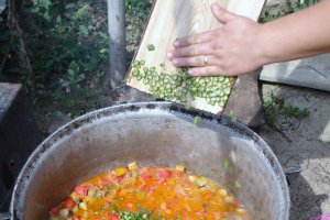 Tocana de legume (reteta usoara)