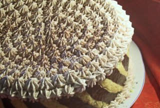 Tort 