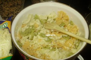 Farfalle  colorate cu mozzarella si cascaval