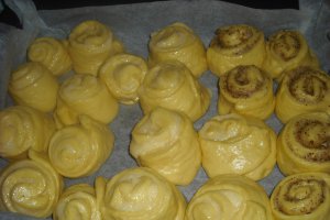 Cuib de viespi