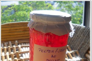 Peltea/jeleu de prune