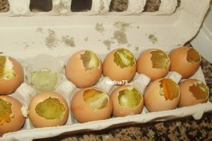 Piftie (racitura)in coaja de oua
