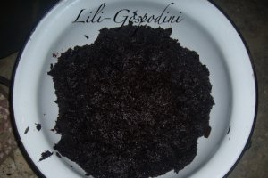 Silvoiţă (Magiun)