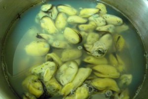 Supa crema de legume cu scoici