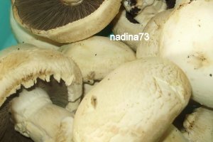 Cubulete  de  mamaliguta cu sos si ciuperci
