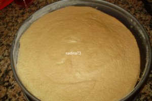Budinca de gris
