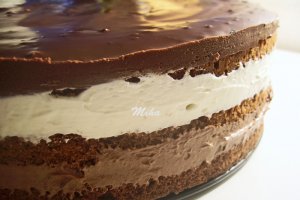 Tort cu ciocolata si piscoturi