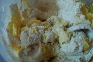 Gnocchi cu pui in sos rosu