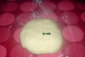 Parmigiani ( pernite cu parmezan)