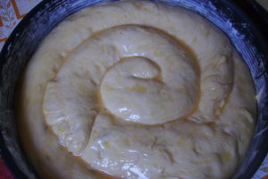 Branzoaica spirala