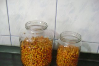 Catina cu miere, la borcan - pt imunitate si vitamina C