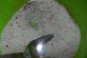 Gomboti cu prune