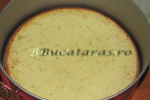 Tort cu mousse de zmeura si ciocolata