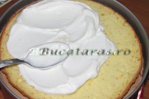Tort cu mousse de zmeura si ciocolata