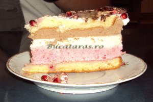 Tort cu mousse de zmeura si ciocolata