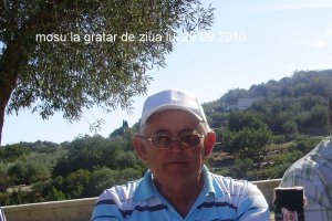 Tort Diplomat cu capsuni  "64 "
