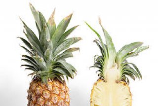 CREMES CU ANANAS SI COCOS