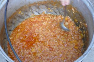 Tocana de legume