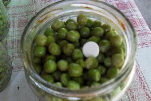 Conserva de mazare