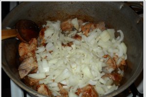 Gulas in paine
