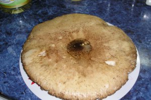 Chiftele din legume si ciuperci pane cu piure de cartofi