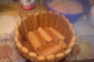 Tort cu piscoturi