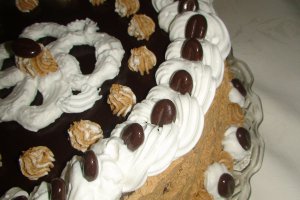 Tort ,,24,,