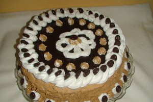 Tort ,,24,,