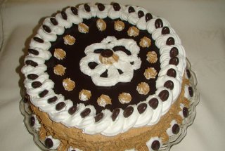 Tort ,,24,,