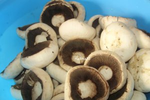 Ciulama de ciuperci cu mamaliguta(ca la mama acasa)