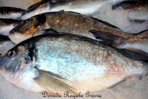 Dorada regala cu legume