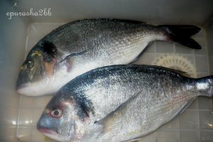 Dorada regala cu legume