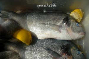 Dorada regala cu legume