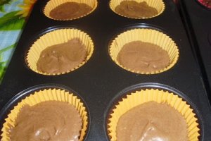 Briose in joaca...:)