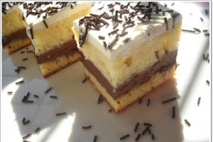 Prajitura cu crema de ciocolata