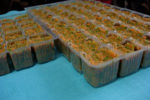 Cuburi concentrate de legume