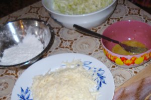 Salau in crusta de parmezan