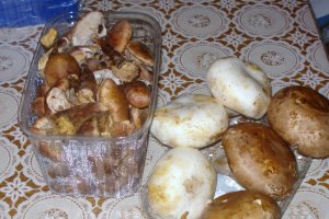 Mancarica de ghebe