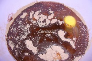 Briose negricioase cu cocos si budinca